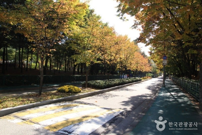 烽火山(首爾地區)(봉화산 서울) (1/5)