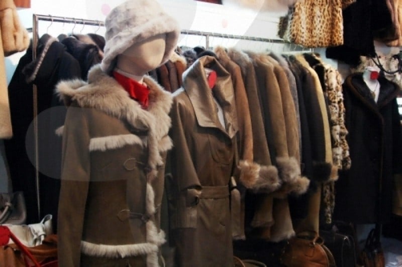 Ferrara Korea (4/8)