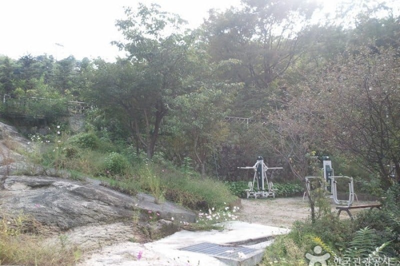鷹峰山 (1/20)