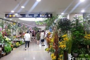 高速巴士客運站花卉批發市場
