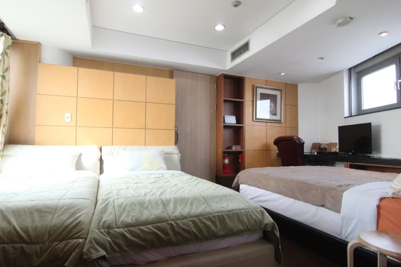 Han River View House  (8/12)