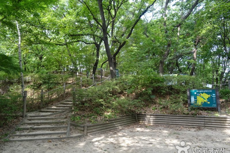 梧桐近鄰公園