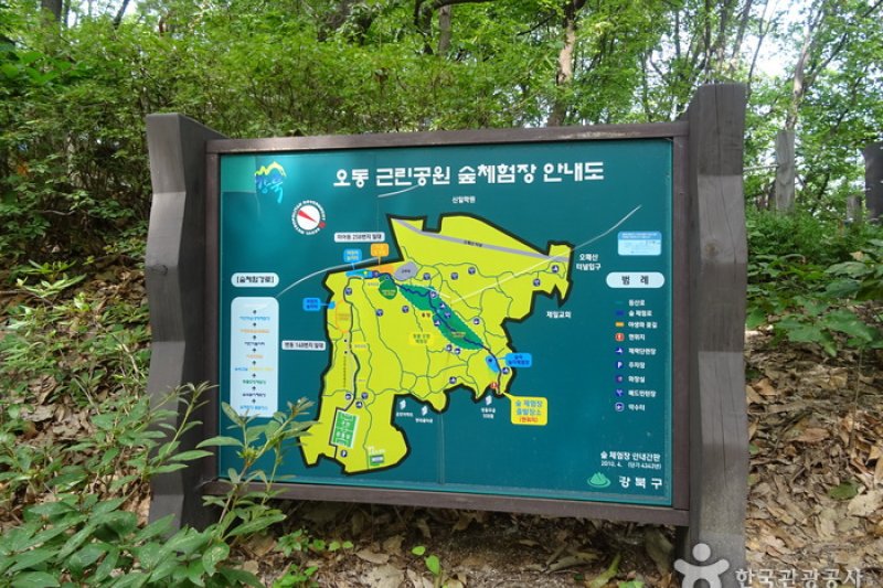梧桐近鄰公園