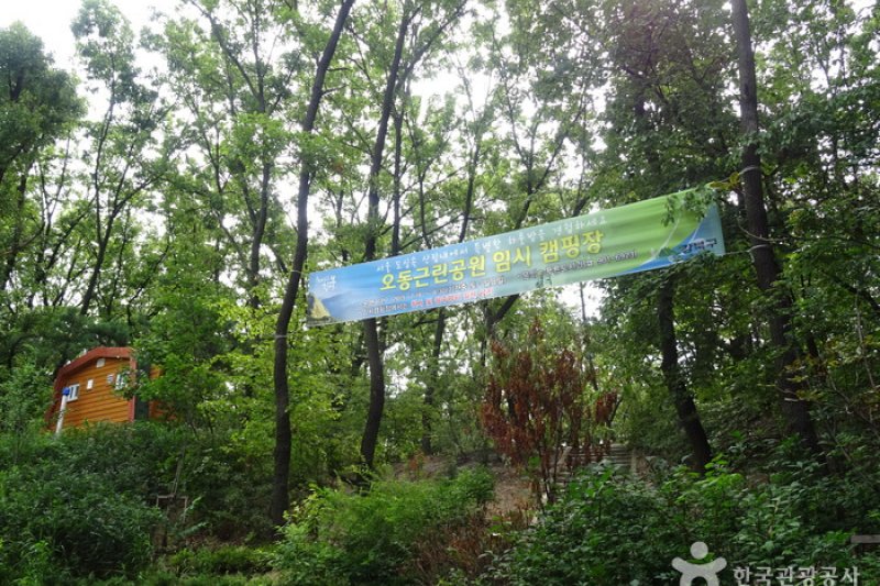 梧桐近鄰公園