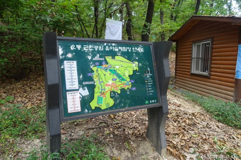 梧桐近鄰公園