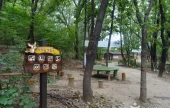 梧桐近鄰公園