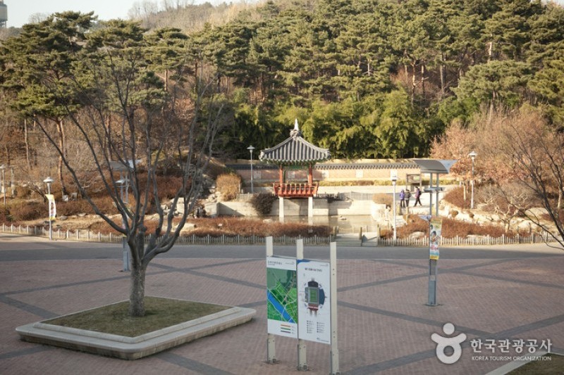 天空公園 (6/25)