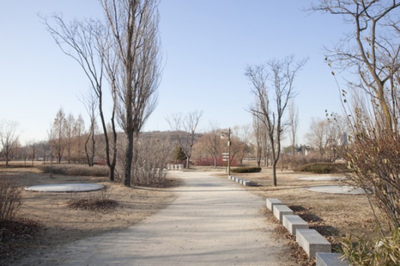 天空公園 (15/25)