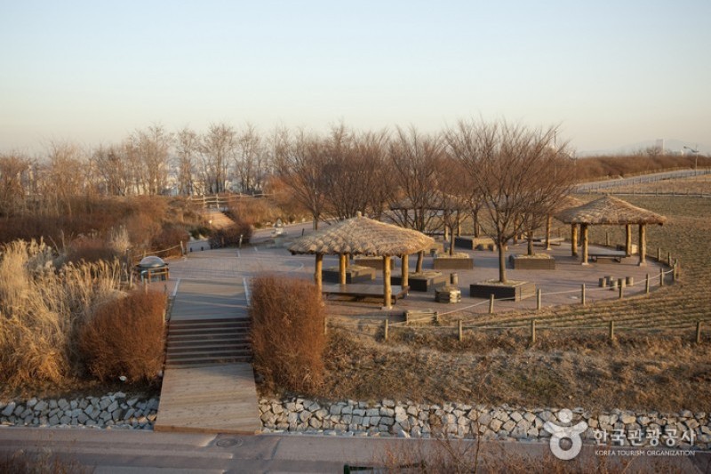 天空公園 (22/25)