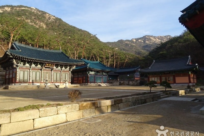 津寬寺 (4/11)