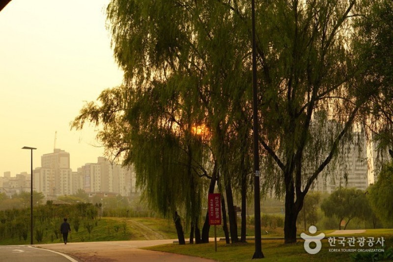 漢江市民公園楊花地區 (4/6)