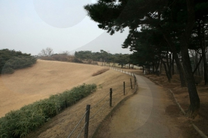 首爾夢村土城 (2/8)