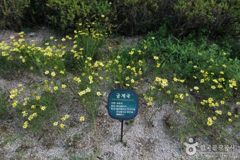 南山戶外植物園 (1/5)
