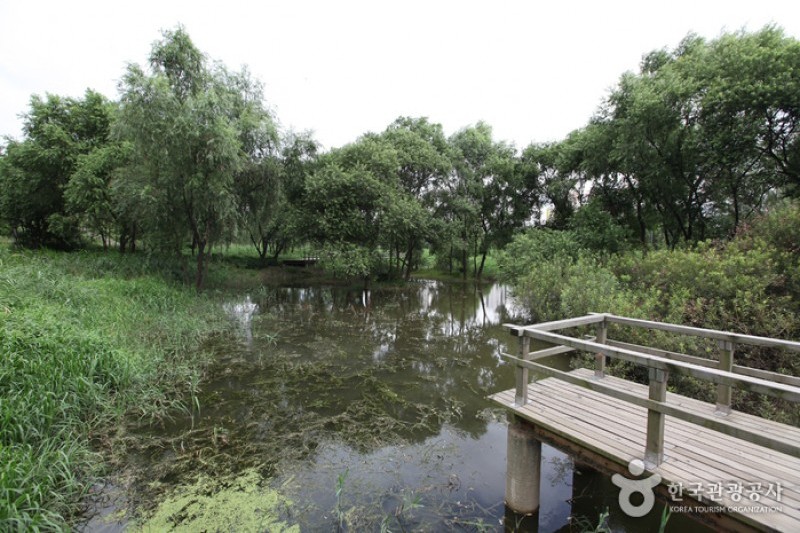 汝矣島河口生態公園(여의도샛강생태공원) (2/12)