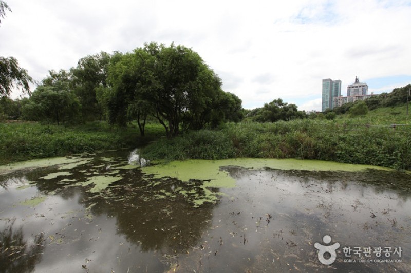 汝矣島河口生態公園(여의도샛강생태공원) (4/12)