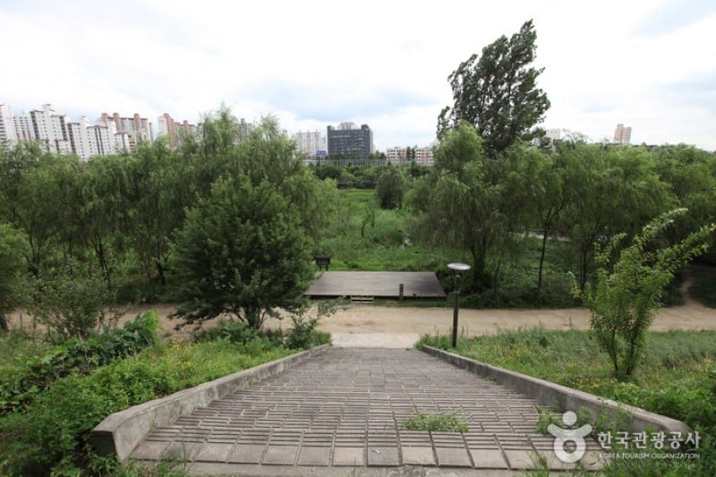 汝矣島河口生態公園(여의도샛강생태공원) (6/12)