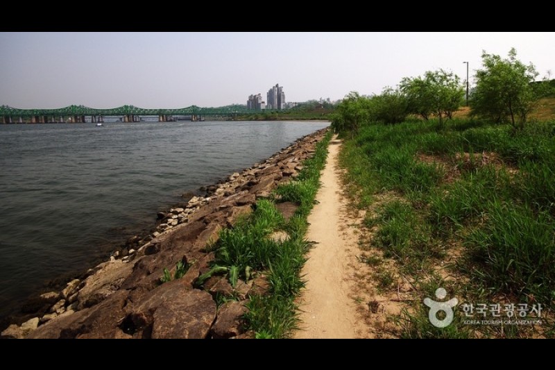 汝矣島河口生態公園(여의도샛강생태공원) (7/12)