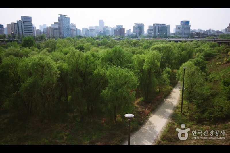 汝矣島河口生態公園(여의도샛강생태공원) (10/12)