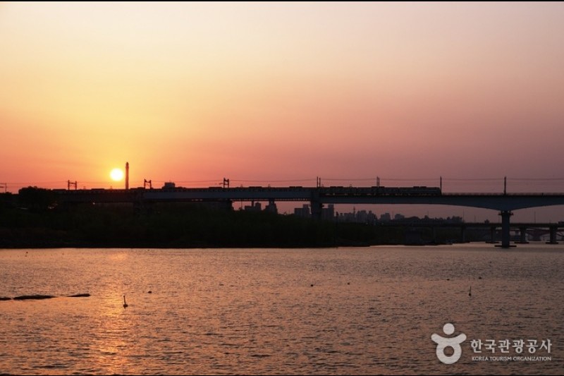 汝矣島河口生態公園(여의도샛강생태공원) (11/12)