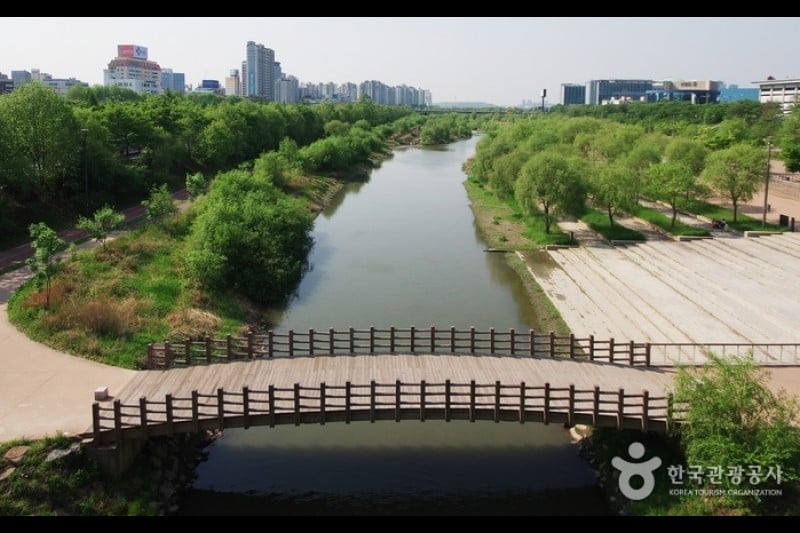 汝矣島河口生態公園(여의도샛강생태공원) (12/12)