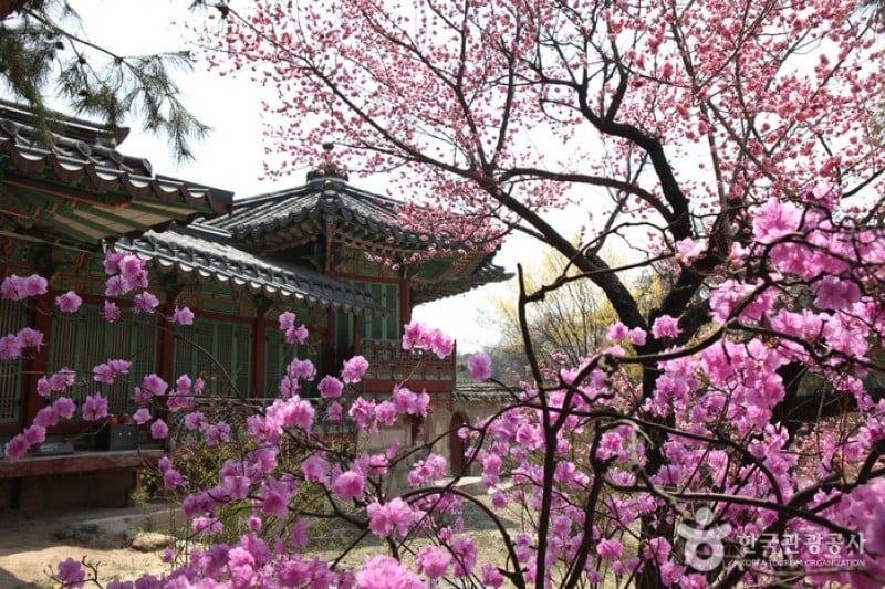 樂善齋(낙선재) (4/20)