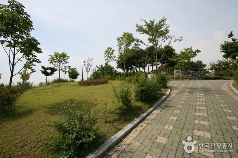 蒙馬特公園(몽마르뜨공원) (5/6)