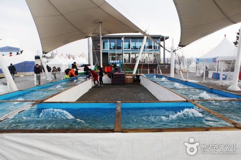 纛島漢江公園雪橇場 (6/25)