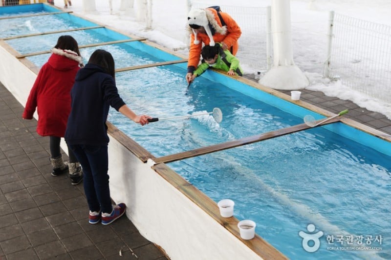 纛島漢江公園雪橇場 (9/25)