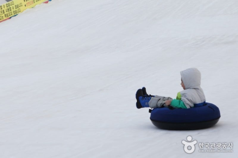 纛島漢江公園雪橇場 (18/25)