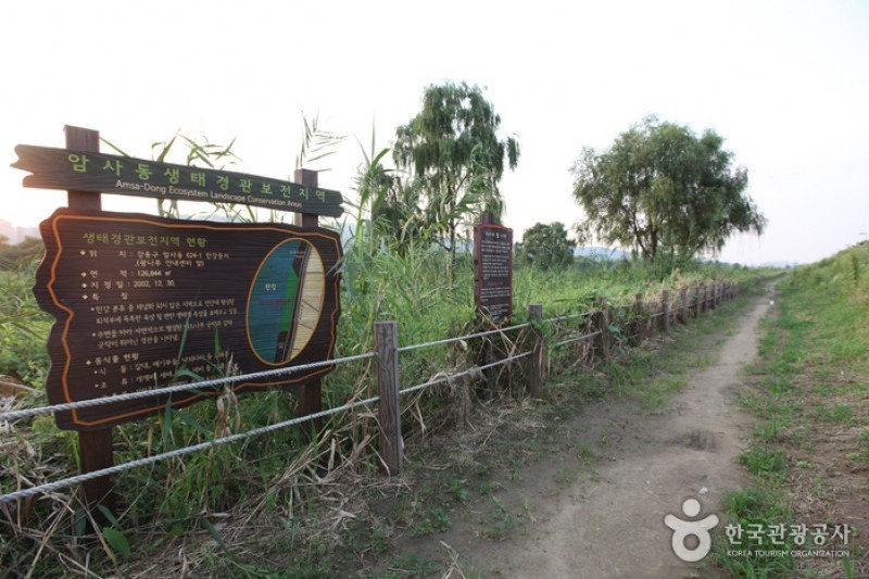 漢江市民公園廣渡口地區 (2/6)