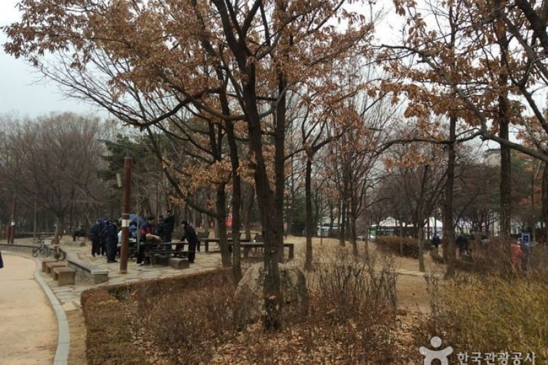 千戶公園 (1/4)