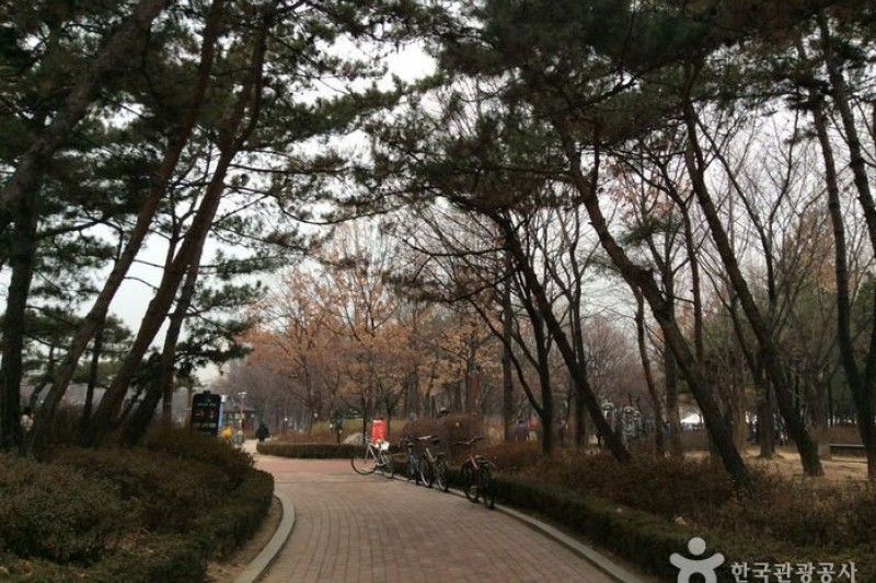 千戶公園 (3/4)