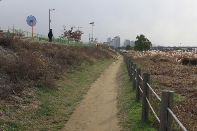 岩寺生態公園 (1/4)