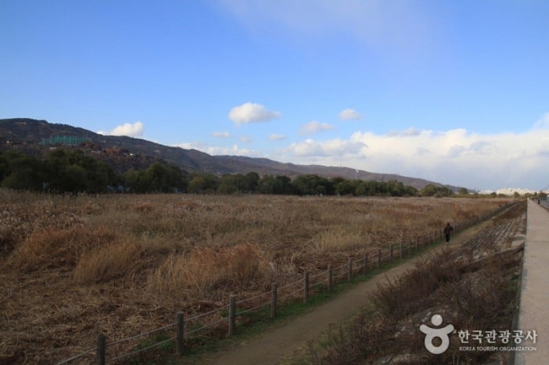 岩寺生態公園 (2/4)