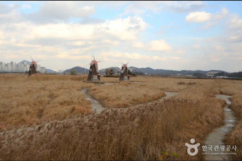 蘇萊濕地生態公園(소래습지생태공원)