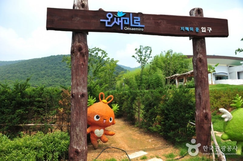 江華Armiae World (8/25)