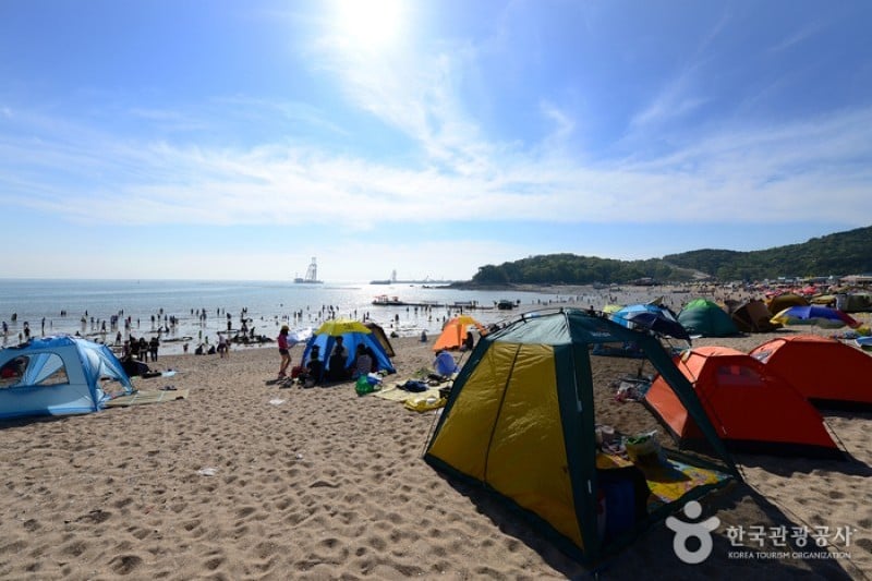 王山海水浴場 (1/11)