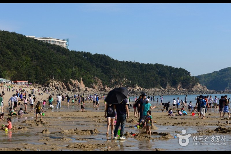 王山海水浴場 (8/11)