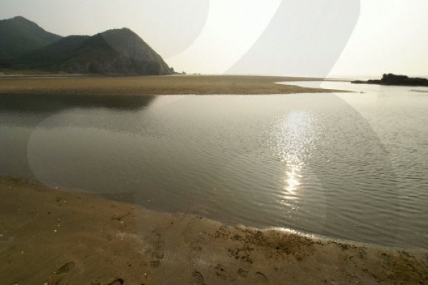 大青島