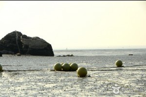 Minmeoru海邊