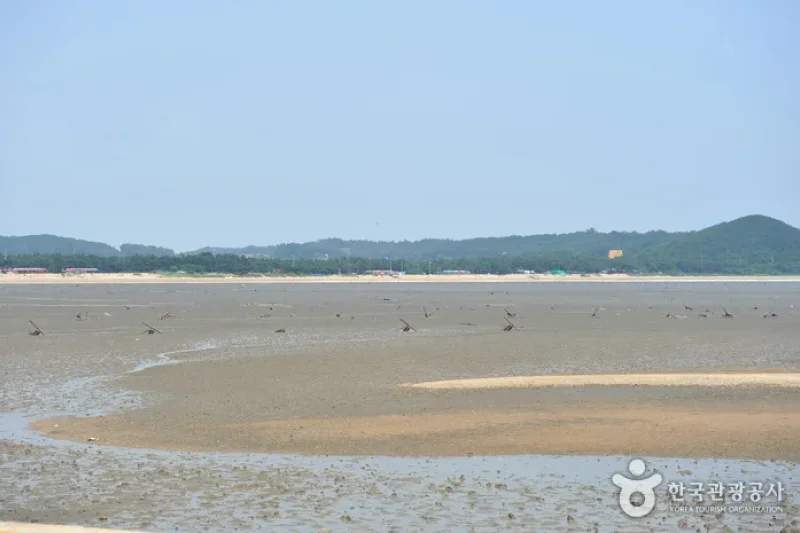 龍游島 (2/3)