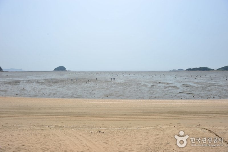 龍游島 (3/3)
