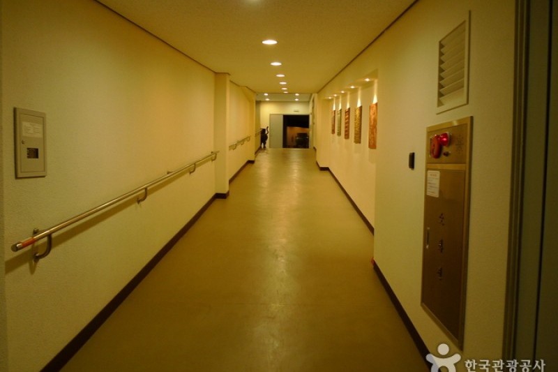仁川廣域市立博物館 (7/24)