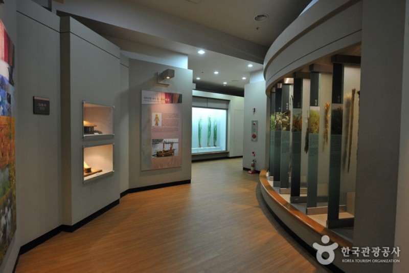 江華花紋席文化館 (2/6)