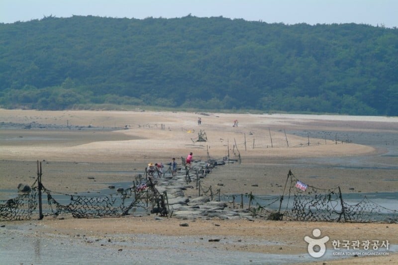 電影《實尾島》外景地영화 [실미도] 촬영지 (1/5)