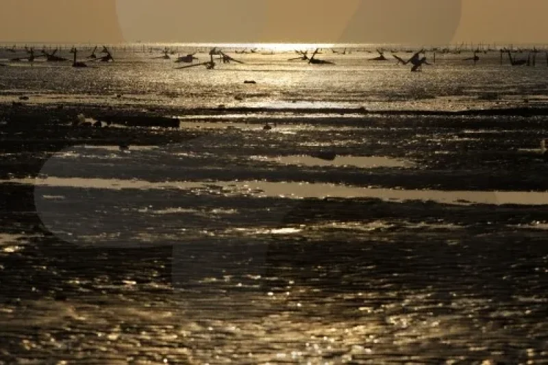 永宗島