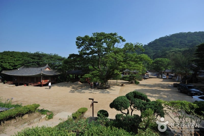 傳燈寺(江華) (1/6)