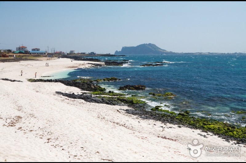 城山日出峰[聯合國指定世界自然遺產] (6/31)