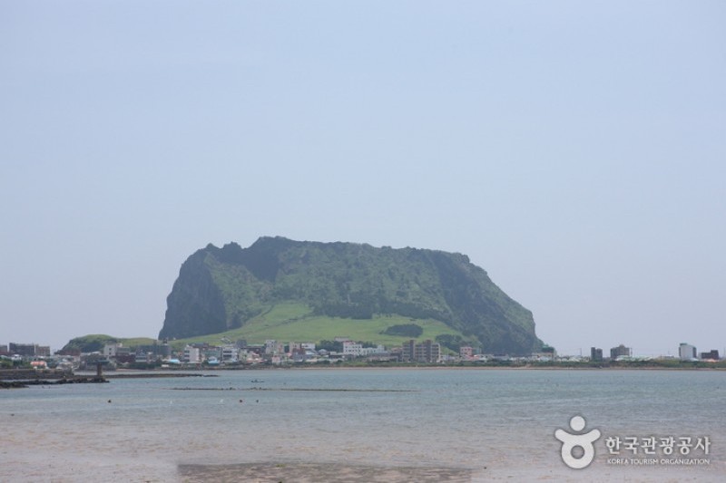 城山日出峰[聯合國指定世界自然遺產] (12/31)