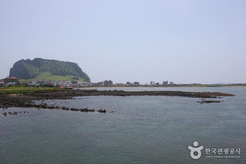 城山日出峰[聯合國指定世界自然遺產] (13/31)
